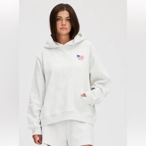 Parke brand hooded sweatshirt. American flag. Never worn. New.